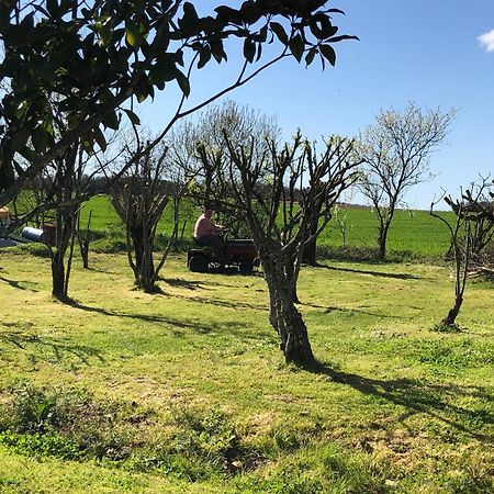 Les Geais Bed & Breakfast Saint-Pierre-la-Noue ภายนอก รูปภาพ
