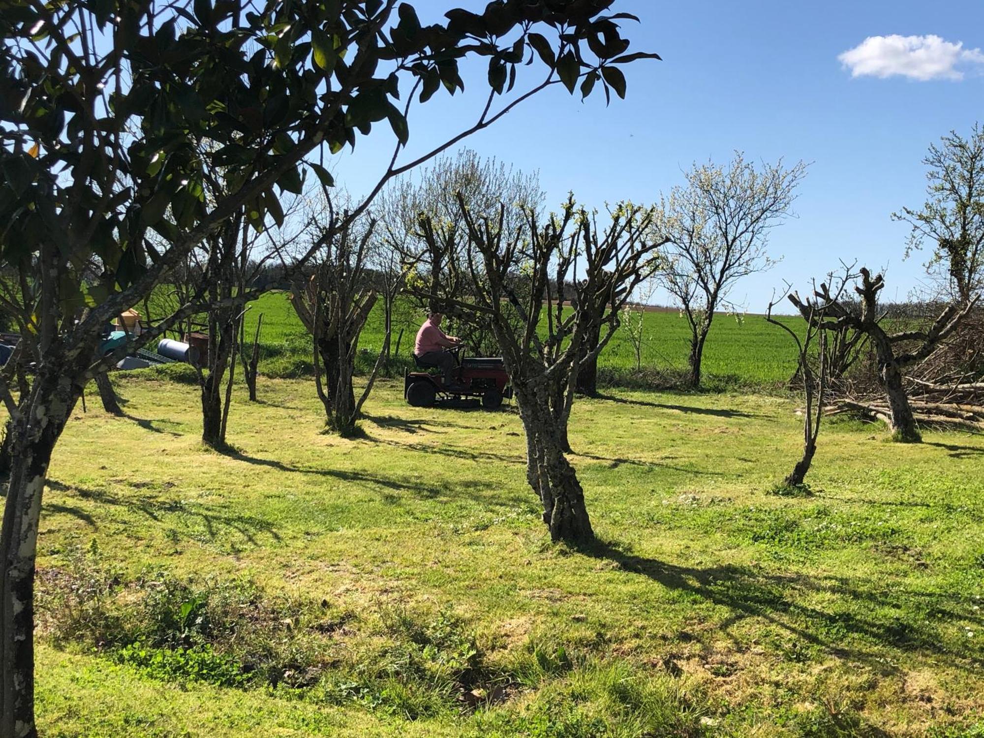 Les Geais Bed & Breakfast Saint-Pierre-la-Noue ภายนอก รูปภาพ